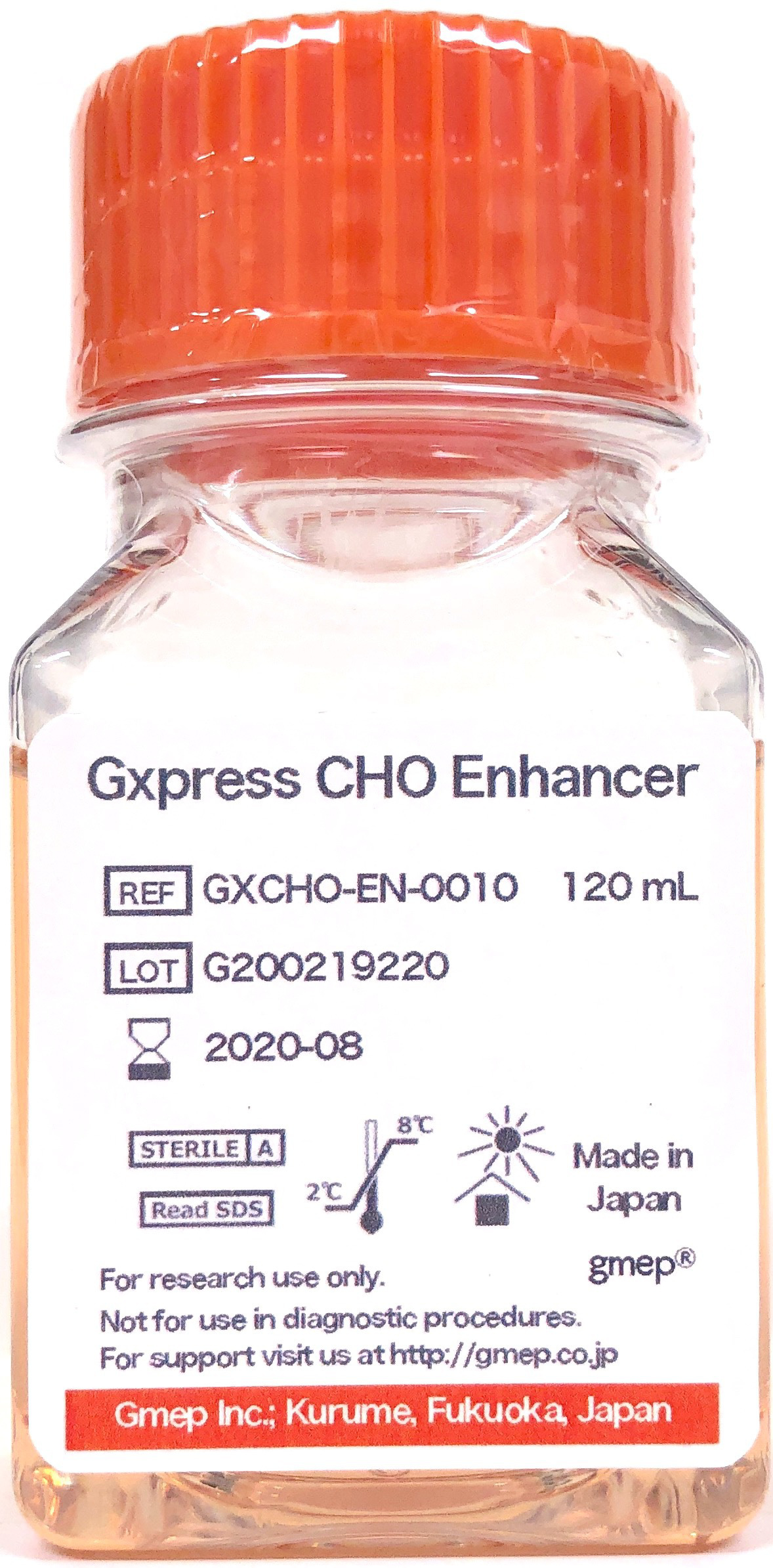 CHO transfection chemically defined serum free medium