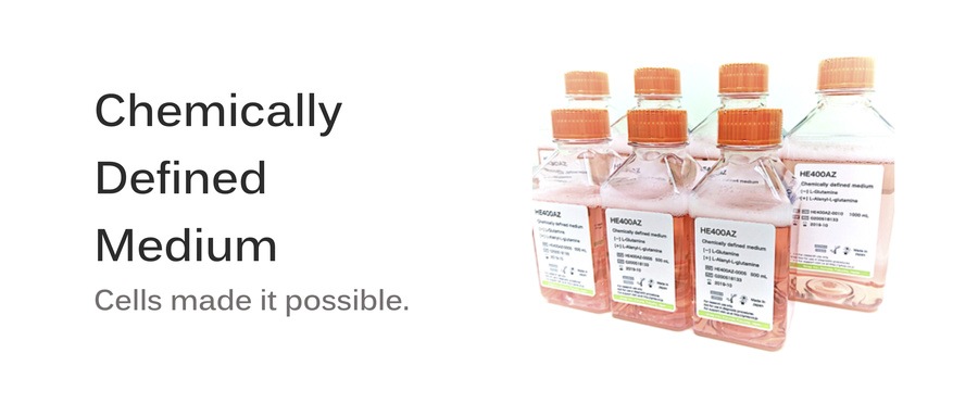 2019_medium_e.jpg