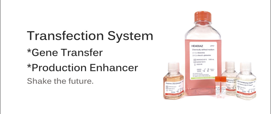 2019_transfection_e_20190403143708265.jpg