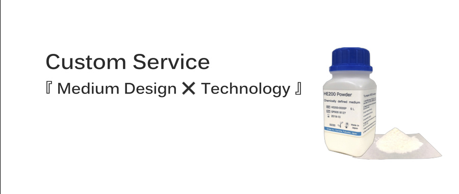 2019_service_e.jpg